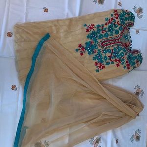 Light gold and green long anarkali suit